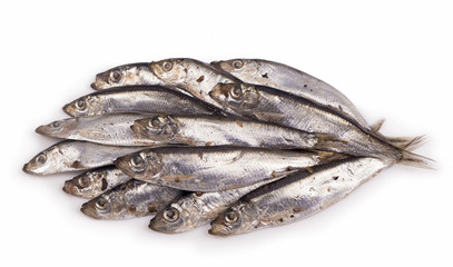 Salted sprats on white