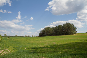 Fields and meadows