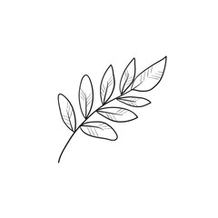 Palm branch sketch icon