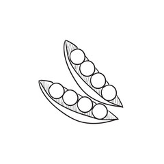 Peapod sketch icon.