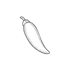 Chilli sketch icon.