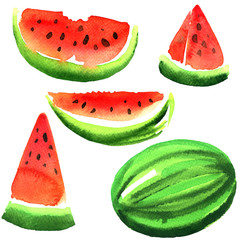 set of ripe fresh watermelon isolated, watercolor illustration on white