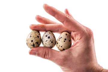 holding three quail eggs