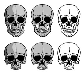 Human Skulls vector set