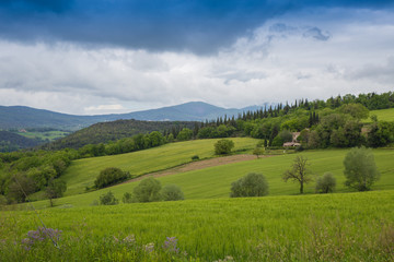 Fototapeta na wymiar Umbrian countryside
