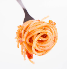 Spaghetti covered with sauce on a fork