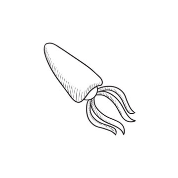 Squid sketch icon.