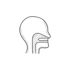 Human head with ear, nose, throat sketch icon.