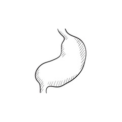 Stomach sketch icon.