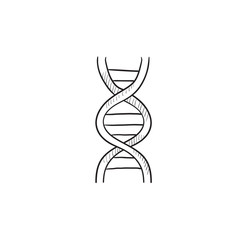 DNA sketch icon.