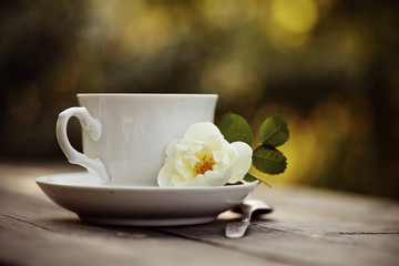 Obraz na płótnie Canvas Dogrose and white cup with a spoon