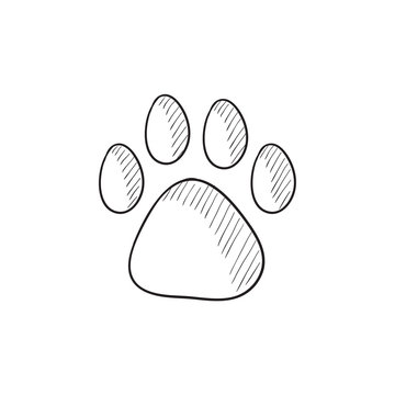 draw dog paw