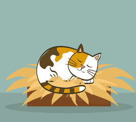 cat design. animal concept. flat illustration , vector