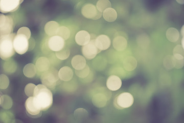 green color light background