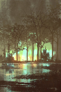 mysterious dark forest with mystic light at night,illustration