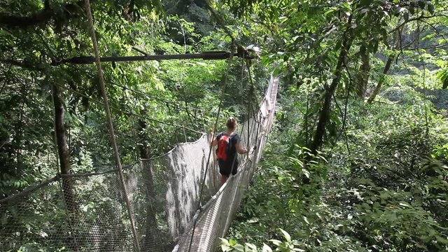 Walk on a suspension bridge in the rain forest of Costa Rica, near Pacific Coast