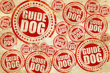 guide dog, red stamp on a grunge paper texture