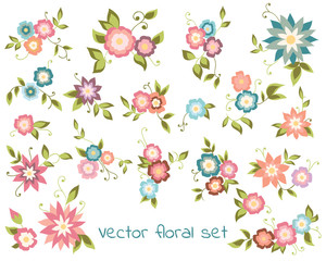 Vector floral collection