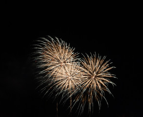 Fireworks light the night sky and beautiful.