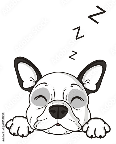 dream of symbol white dog letter sings, z, closed, lie, , letter, symbol, dog eyes, dream, z,
