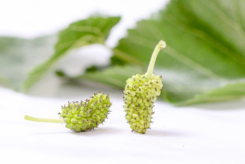 white unripe  mulberry 