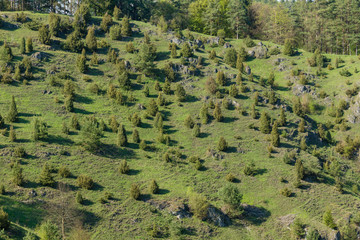 Landschaft der fr&auml;nkischen Schweiz