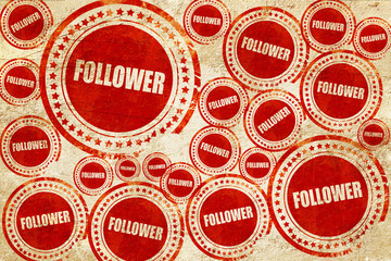 follower, red stamp on a grunge paper texture