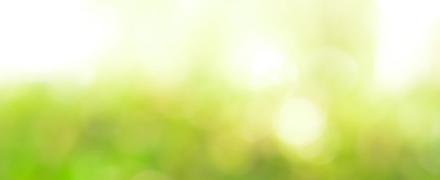 Abstract light green bokeh panoramic header background