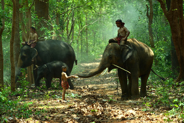 Children with Elephants and Mahout - 112586416