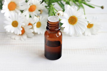 Chamomile cosmetic product. Apothecary glass dropper bottle, fresh white camomile flowers. Soft focus. 