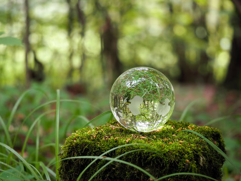 Globe in the forest. Ball on a stump with moss.
Glass - a material, concepts and themes, concepts, environment, nature
