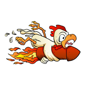 chicken on the rocket.