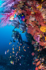 Fototapety na wymiar - Fototapeta24.pl