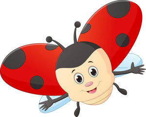 cute  ladybug cartoon