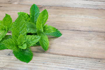 Fresh mint leaves on wood background.
Copy space.