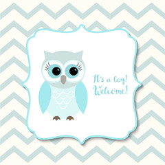 Baby shower for boys with blue owl, illustration