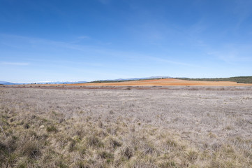 Dried-up lagoons in Puebla de Belena, Guadalajara, Spain. These areas form part of Natura 2000 network