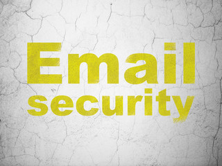 Security concept: Email Security on wall background
