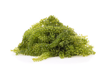 Healthy sea food. Oval sea grapes seaweed