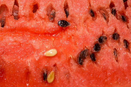 Juicy Watermelon Flesh