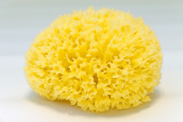 The loofah yellow color from natural plant from the seabed