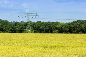 Strommast im Rapsfeld - erneuerbare Energie