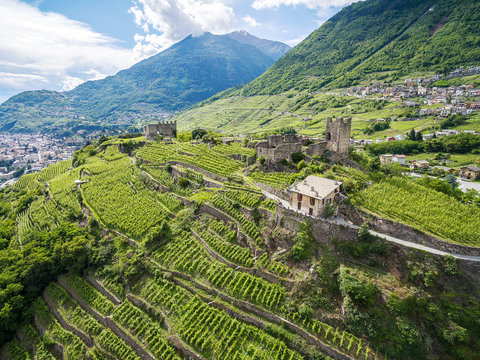 Valtellina (IT) - Vigneti del Grumello nei pressi di Sondrio