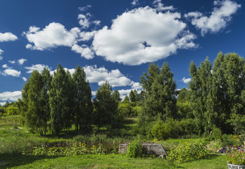 Fototapeta na wymiar Summer solar landscape;, pond and blue sky