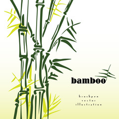 Green bamboo stems vector ink pen painting style. Simple bamboo illustration on white background. Bamboo bush. Bamboo leaves. Freshness in spring.