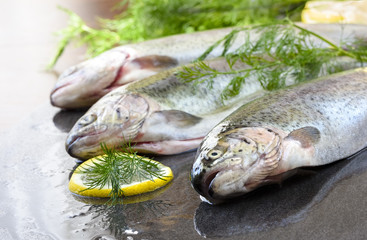 Rainbow trout on a stone gray board with dill and lemon