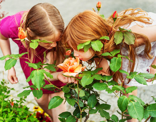 Obraz na płótnie Canvas Little girls smelling orange roses in garden