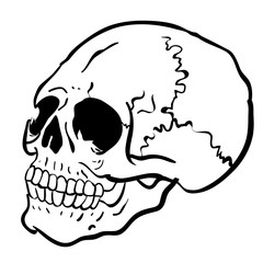 black and white another skull