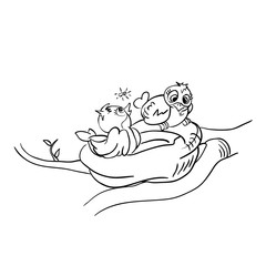 black and white birds in nest