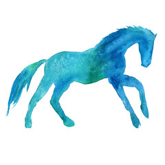 Fototapeta na wymiar silhouette of a horse. isolated. watercolor illustration